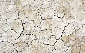 Cracked Ground Earth Stone Texture Background Download Background Image Amazing Site For Textured Backgrounds Earth Texture Photo Texture Road Texture