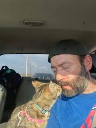 Orange tabby cat found deceased