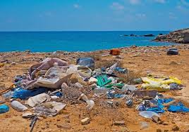 Many collectors turn to ebay to find rare coke cans and vintage coke cans to add to their collection, and you can too. Coca Cola Named Worst Plastic Polluter By Environmental Pressure Group