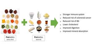 Are Prebiotics good for our health? - Age Watch