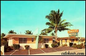 Vintage Motels Florida Vintage Postcard Yonders Motel Hollywood Florida Hollywood Florida Florida Hotels Vintage Hotels