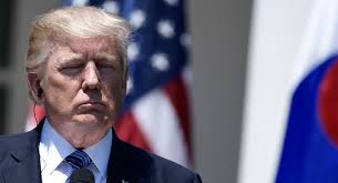 Week 6: Trump Gets a Lift From Media Wounds