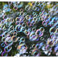 Adapted Weekend Fun - Theme: Bubbles! event in Westlake, OH