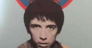 ピート・シェリー／ルイ・シェリー『ever fallen in love-the lost Buzzcocks tapes』（８）｜奎文初