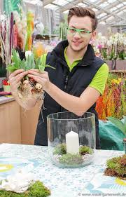 Schritt 5 Tulpen Mit Zwiebeln Und Wurzeln Voneinander Losen Pflanzen Tischdekoration Gartenwelt