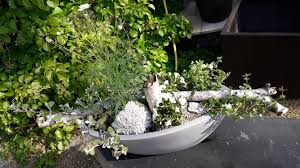 Garten Eden Inh Dirk Noack Strona Glowna Facebook