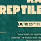 Rad Reptiles