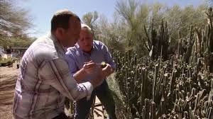 B & b cactus farm: Arizona Cactus Farm America S Heartland Youtube