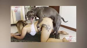 GTA VI Trailer but it´s AOZ - BestialitySexTaboo - Bestiality Sex Taboo