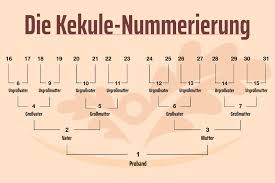 Möchten sie ihren familienstammbaum festhalten. Stammbaum Erstellen Auf Der Suche Nach Den Eigenen Wurzeln Herbstlust De