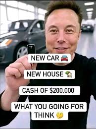 Nel White🏆🏆🔥pressure Pelzer Boy Presents : Donks R Us Dvd SeriesDONKS R  US TVDonks r UsKing of the jungle donks,gbodys,boxchevysKing of the Streetz