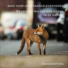 Raad Voor Dierenaangelegenheden Rda Zienswijze Wegen Van Welzijn Van Dieren In De Natuur Dieren Natuur Raden