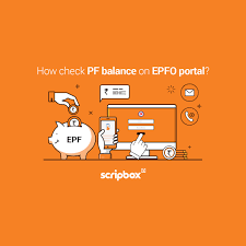 Earlier i used to search a lot on checking epf balance online and i came across some. Pf Balance Check How To Check Pf Account Balance Scripbox