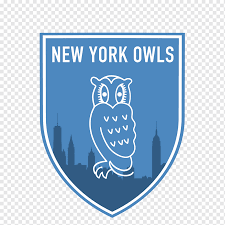 What moore said to dawson before sending him out on loan joe crann. Owl Niall S On 52nd Sheffield Wednesday F C Football Factory At Legends Logo Owl Blue Animals Text Png Pngwing