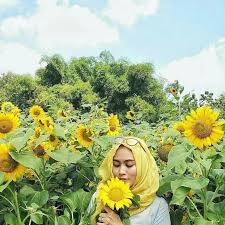 Kembang sangenge, kembhang tampong are; Instagramable Banget 5 Kota Ini Punya Taman Bunga Yang Indah