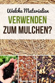 Die 7 Grossten Fehler Beim Mulchen Von Gemusebeeten Mulchen Pflanzen Gemusebeet