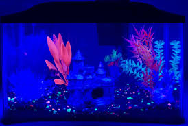 Alexa Voice Controlled Fish Tank Led Lights With 20 Colors Etsy Fish Tank Lights Light In The Dark Fish Tank