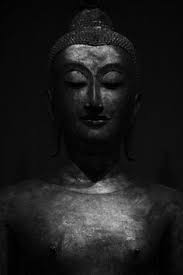 270 Buddhahood ideas to save today