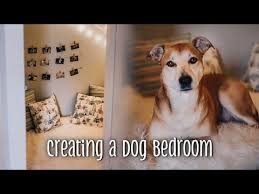 Integrate a craft area into a room that already has a purpose. Creating A Dog Bedroom In A Spare Closet Youtube