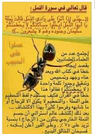 Advancement In Life Quran Quotes Love Quran Islam Facts