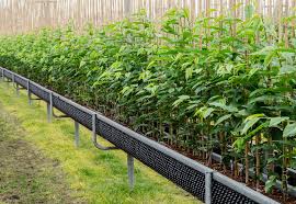 Pot farm:grass roots play store link (if it's a paid app, the apk): Air Pot The Experts Choice