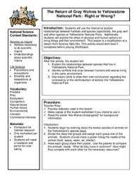Its size, location, how its landscaped was shaped, the geysers, and hot springs, when it became a national park, and plants and animal life of the park. Yellowstone Lesson Plans Worksheets Reviewed By Teachers
