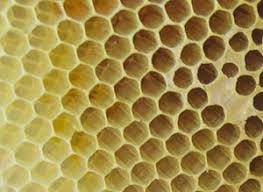 Hexagon