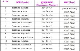 Image result for Sesamum schinzianum