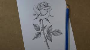 The first step to drawing anything is research. How To Draw A Realistic Rose Step By Step Pencil Youtube