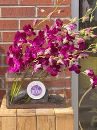 Provides the freshest bouquets, plants and gift baskets to delight every customer. Beautiful Fuchsia Orchids In Modern Vase In Hermitage Tn In Full Bloom Flowers Gifts