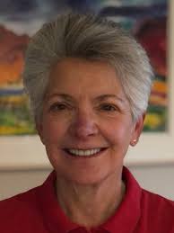 Opinion: Joann Ginal advocates for constituents