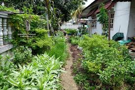 Find all local home & garden ads of malaysia on global ad storm at free of cost. Garden To Plate Grow Harvest And Cook Your Own Vegetables Malaysian Flavours