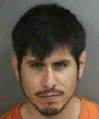 Nearly 20 new Collier County Jail arrest mugshots from Wednesday 2/19/2025.  See them all here: https://collierarrests.com/2025/2/19