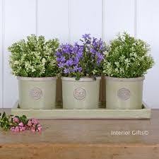 Image Result For Kew Gardens Herb Pots On Tray Herb Pots Herb Garden Pots Garden Plant Pots