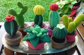 Dekoratif Amigurumi Kaktus Cicegi Yapimi Yeni Moda Yeni Modelleri Kaktus Amigurumi Elisi Fikirleri