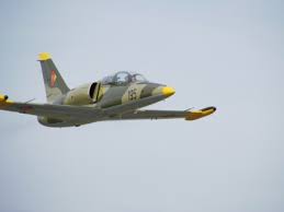 Maybe you would like to learn more about one of these? Kampfjet L 39 Albatros Fliegen Mydays