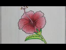Pin On Hibiscus Flower