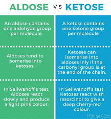Difference Between Aldose And Ketose Infographic Learn Biology Medical School Essentials Biology Facts