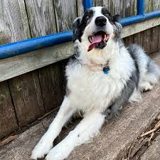 Gail Avey and Jose Leal's Wedding Registry