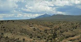 Check spelling or type a new query. Gurun Dan Semi Gurun Australia Zona Alami