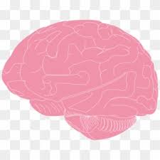 Human Brain Biology Clipart Human Biology Human Body Illustration Hd Png Download 972x750 2487733 Pngfind This database contains 76 attributes, but all published experiments refer to using a subset of 14 of them. human brain biology clipart human