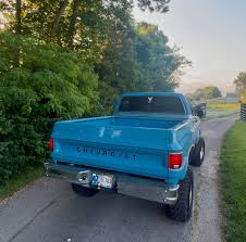 Image result for Strato Silver 1976 Truck