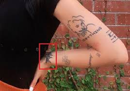 Halsey has a tattoo on her arm to celebrate her playboy magazine cover story. Halsey S 44 Tattoos Their Meanings Body Art Guru