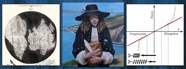 Wren obliged, but after a few presentations found he didn't have the time and gave up the project to an upcoming scientist with something of a knack for drawing and mechanics. Robert Hooke S 10 Major Contributions To Science Learnodo Newtonic