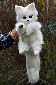Arctic Fox Whimsical Animals Fantasy Creatures From Faux Etsy Cute Wild Animals Baby Animals Funny Baby Animals Super Cute