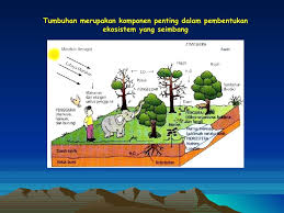 Hutan telah meliputi keluasan muka bumi sebanyak lima puluh peratus. Kepentingan Hutan