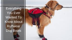 ruffwear dog boots are they worth the price tag