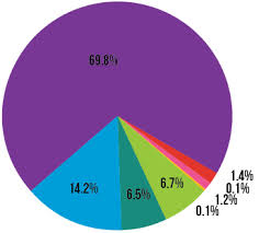 Why Are The Slices Not Accurate In My Pie Chart In