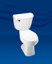 4.8 out of 5 stars. What You Need To Know About Selecting A Toilet Part 1 Mansfield Plumbing