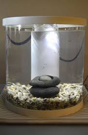 Top fin bettaflo soothe betta update. Top Fin Bettaflo Soothe 3 5 Gallons Just Bought This Today Will Be Installing Plants And And A Betta In A Day Or Two I Am Very Impress Betta Fish Tank Fishy